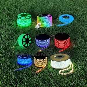 Warm White LED Snake Lights Strip Lights Wholesale Prices