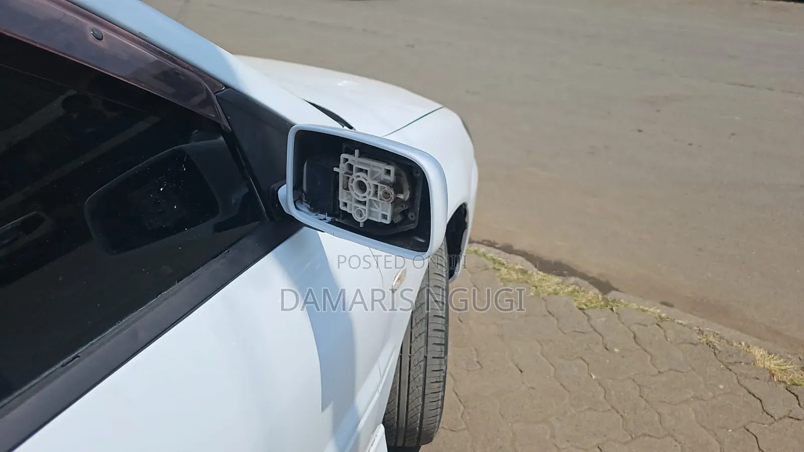 Spade Backlight Available