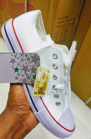 Wipe and Go,Original Leather Converse