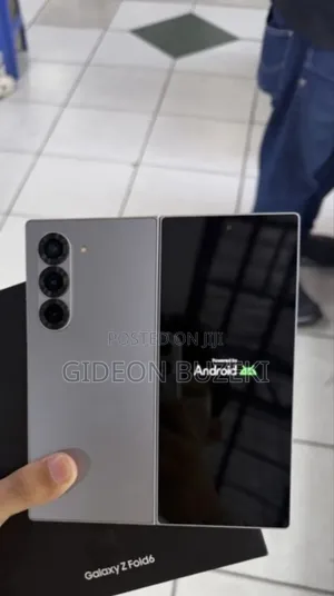 Samsung Galaxy Z Fold6 256 GB Silver