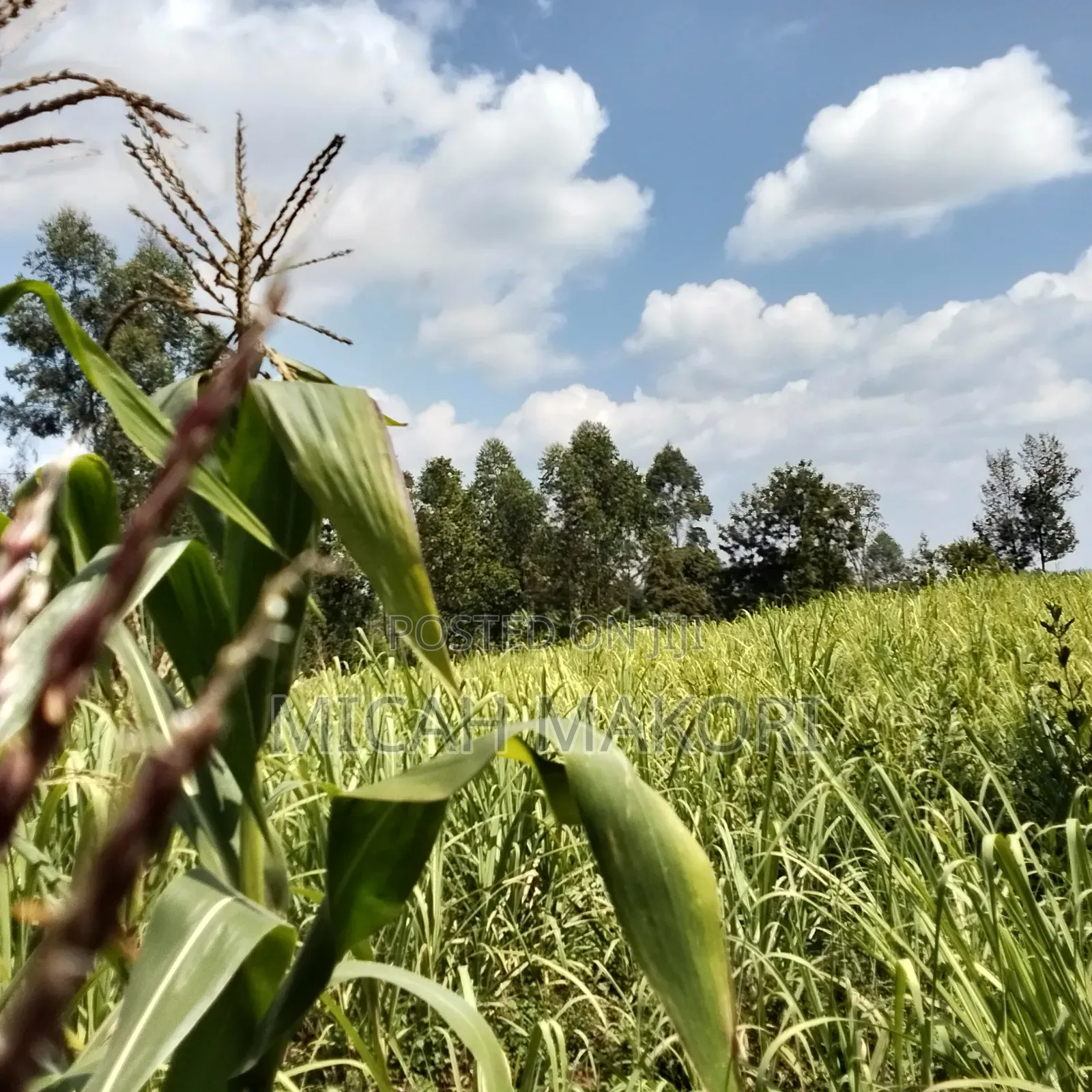 Agriculture Farming