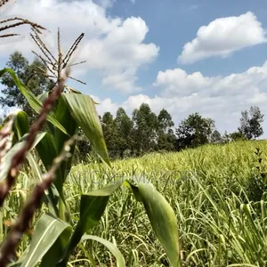 Agriculture Farming