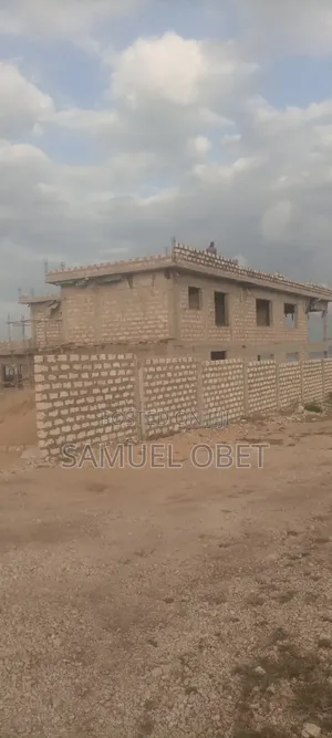 Building and Renovation Services