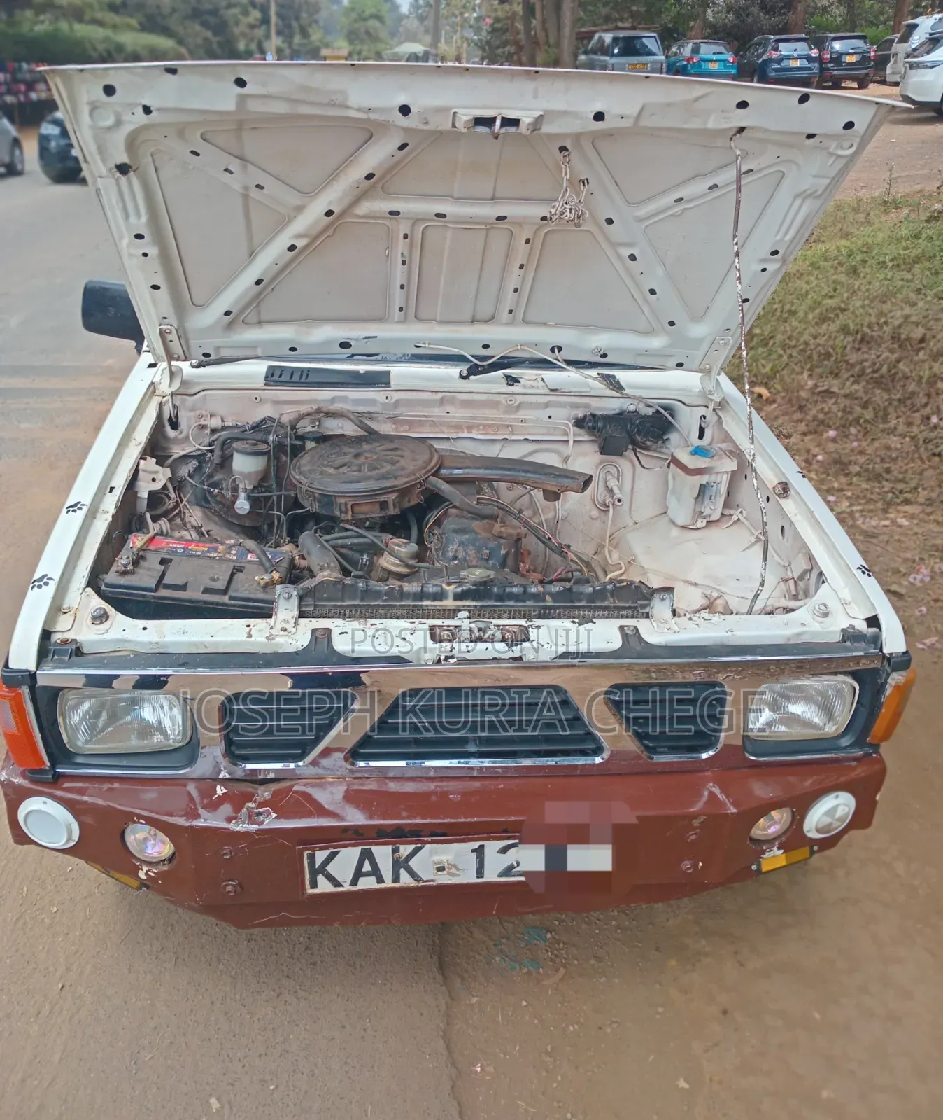 Nissan Hardbody 1995 White
