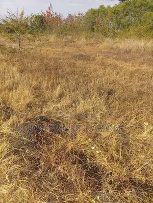 Affordable Residential Plot for Sale