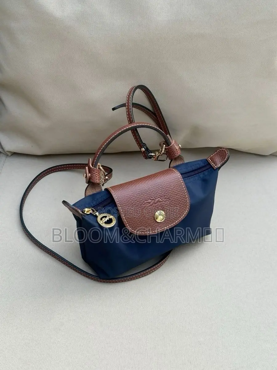 Aesthetic Women Handbags