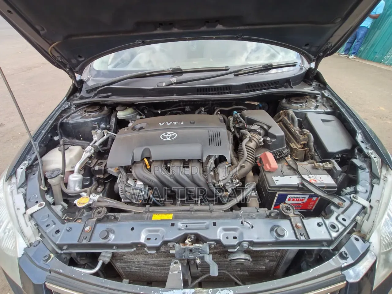 Toyota Axio 2009 Gray