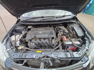 Toyota Axio 2009 Gray