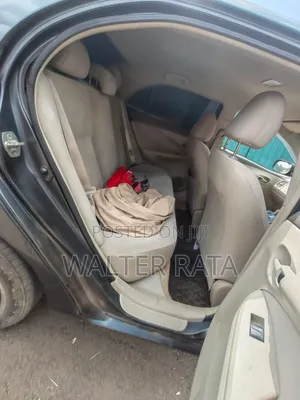 Toyota Axio 2009 Gray
