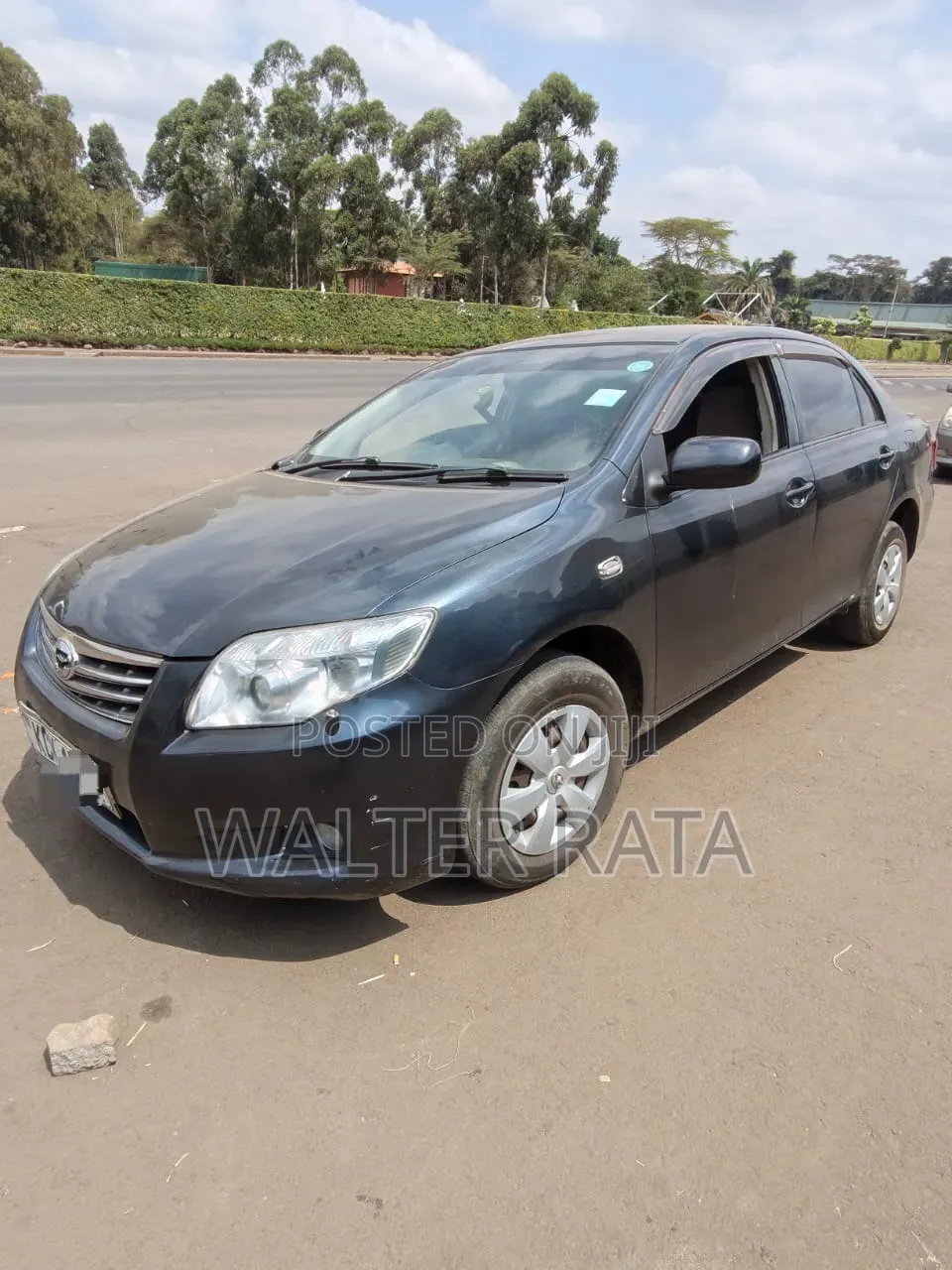 Toyota Axio 2009 Gray