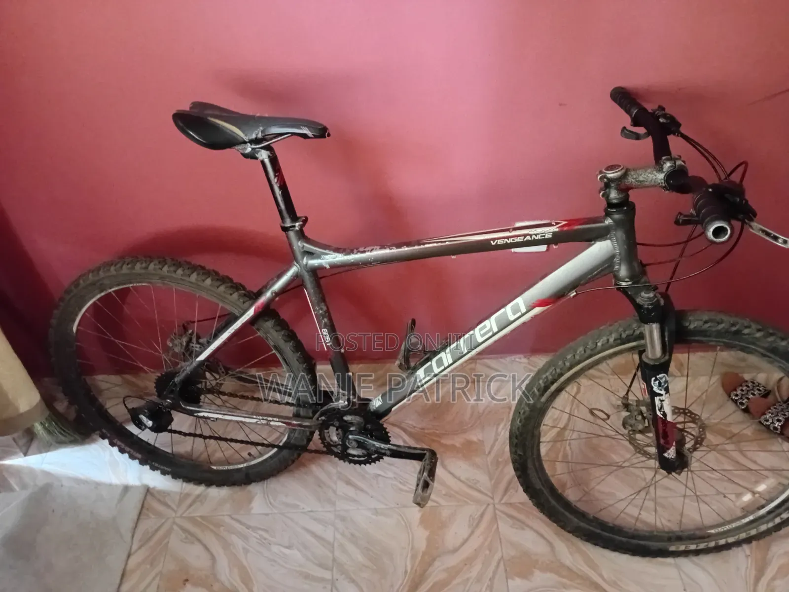 Mountain Bike