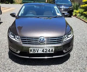Volkswagen Passat 2014 Brown