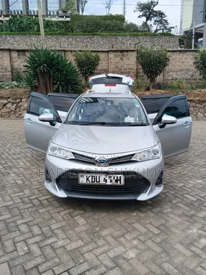 Toyota Corolla Fielder 2018 Silver
