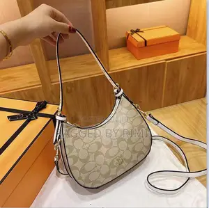 Coach Moon Bag