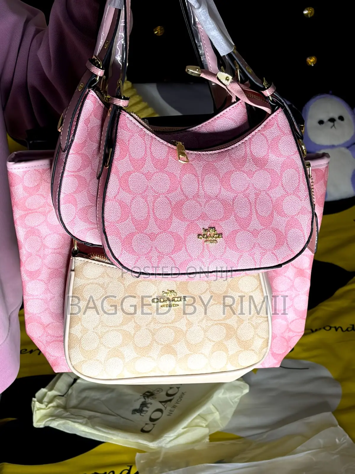 Coach Moon Bag