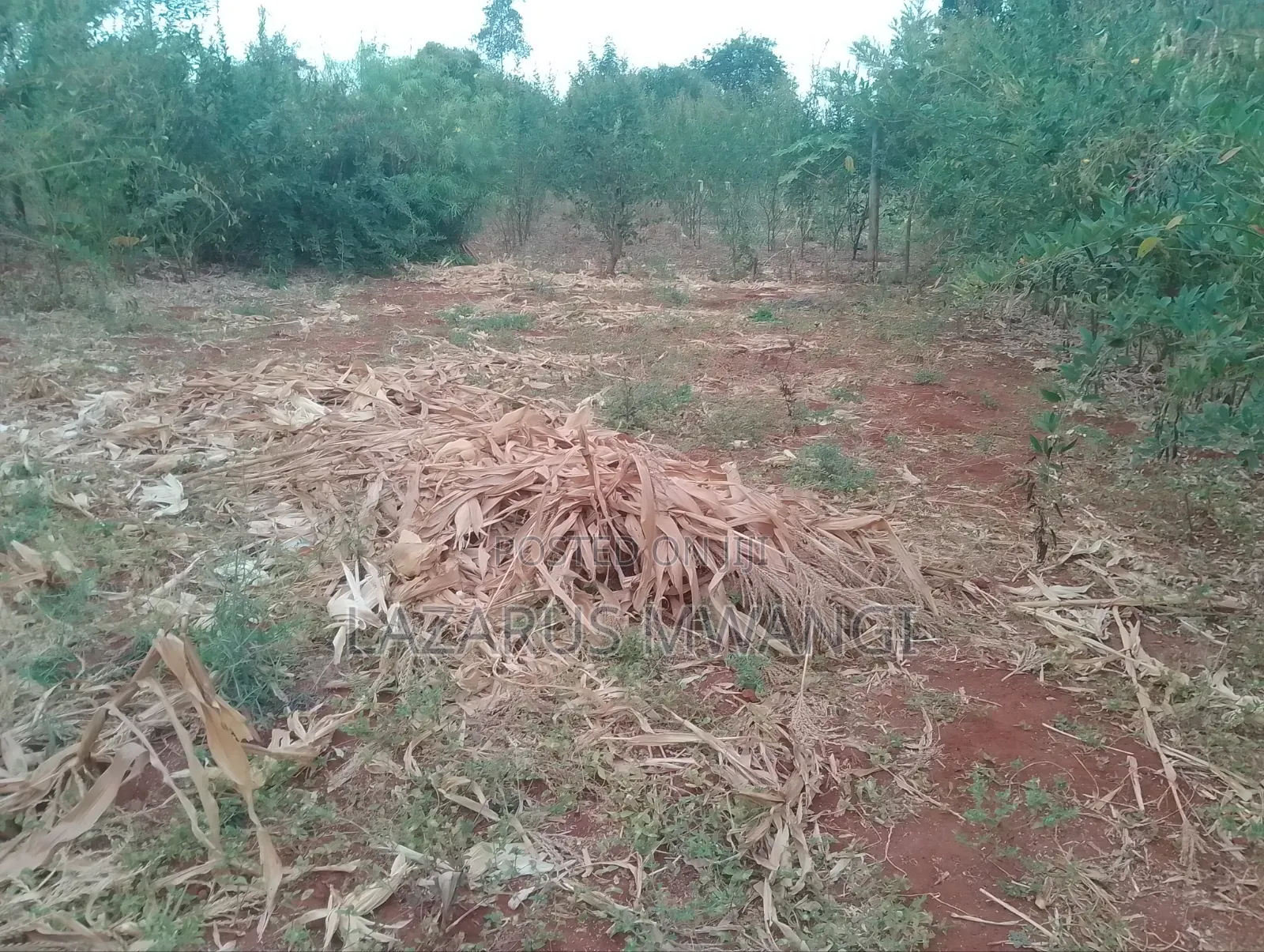 2bdrm Bungalow in Wango, Mwea for sale