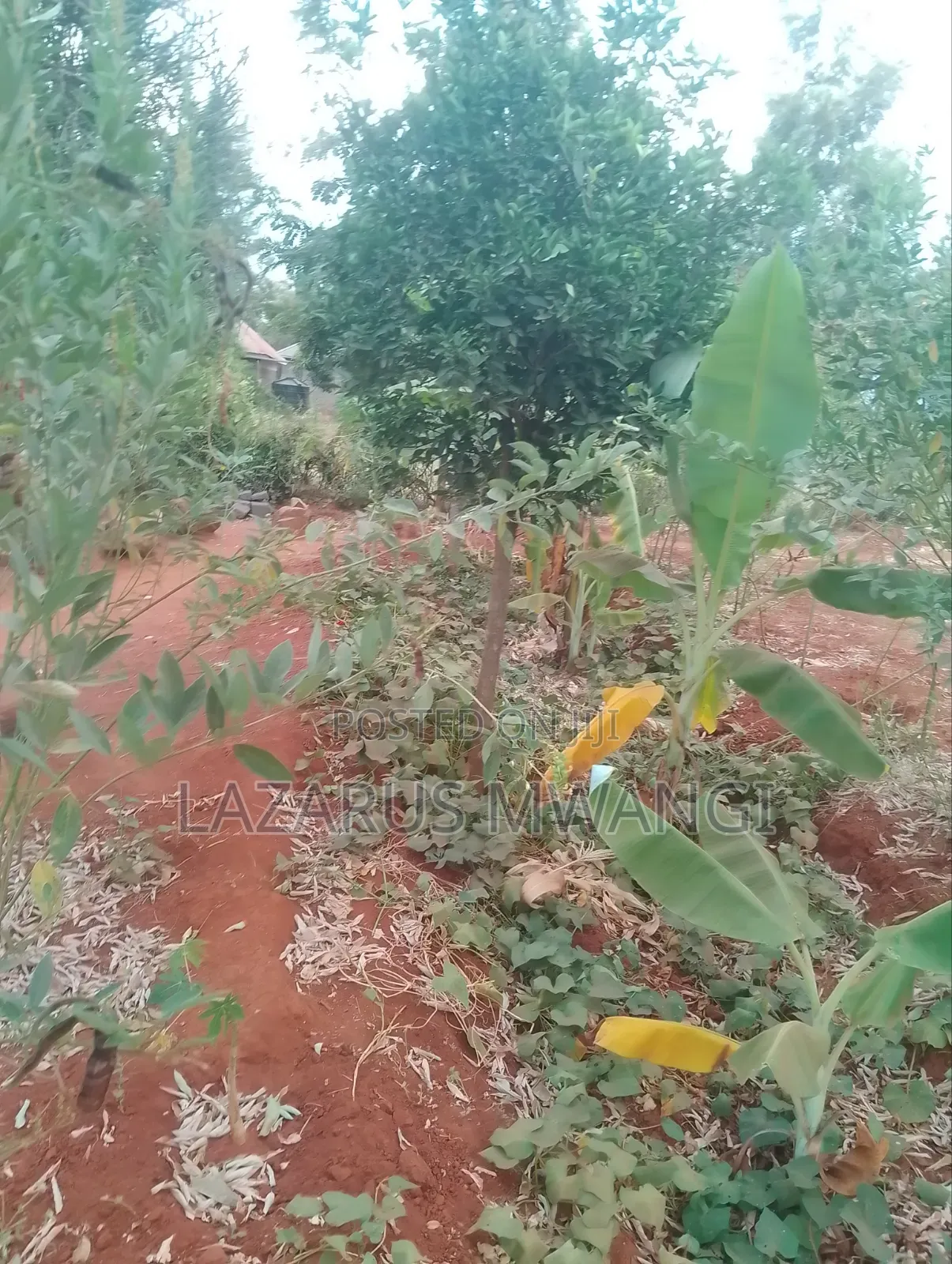 2bdrm Bungalow in Wango, Mwea for sale