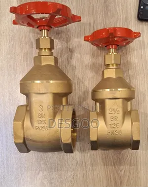 Gate Valve 1"pegler