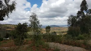 Agricultural Property