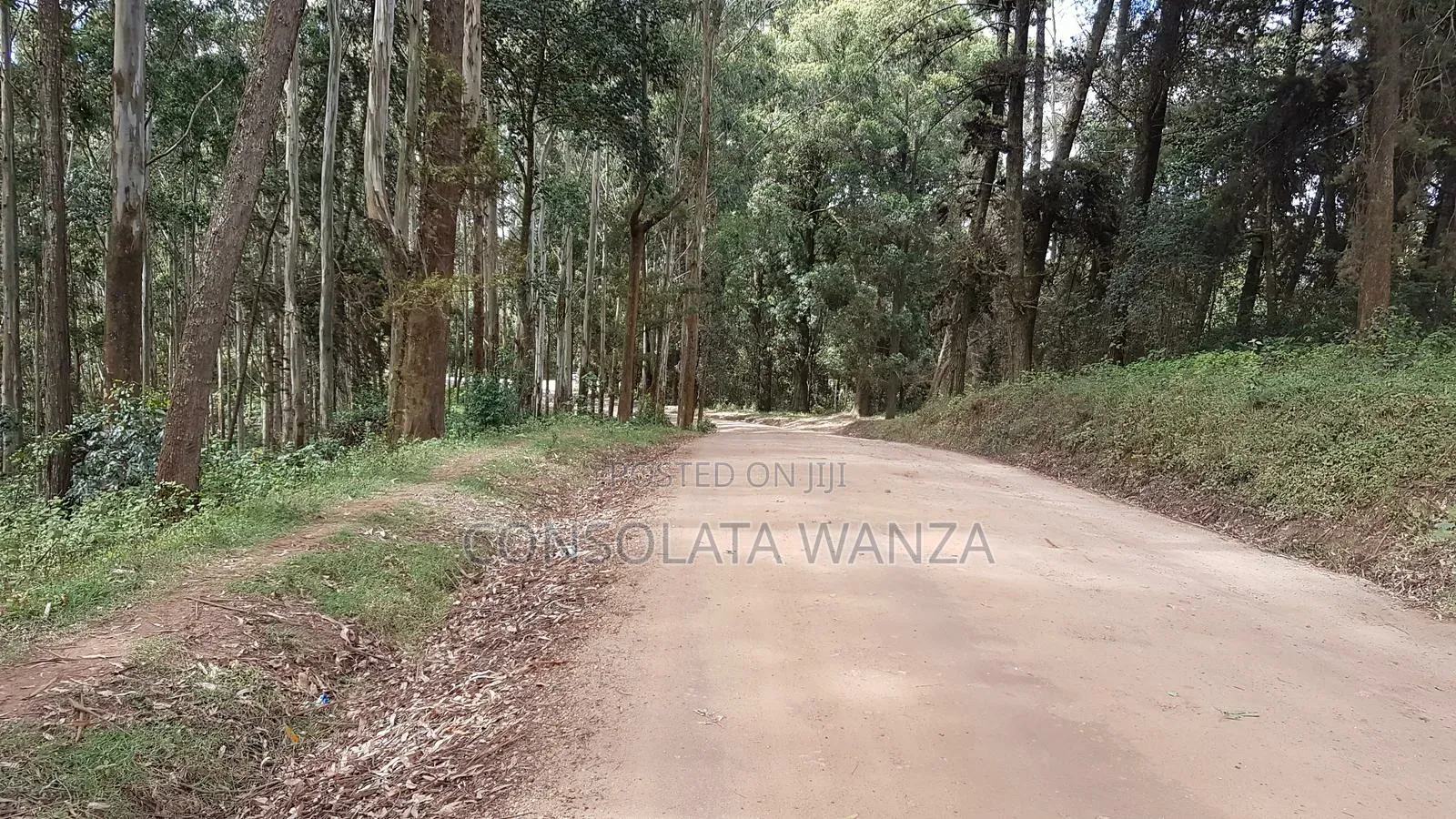Agricultural Property