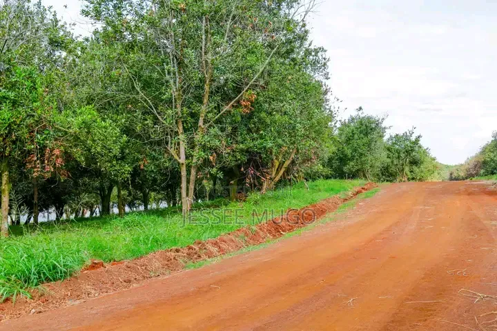 Plots for Sale in Juja Gatundu Road 