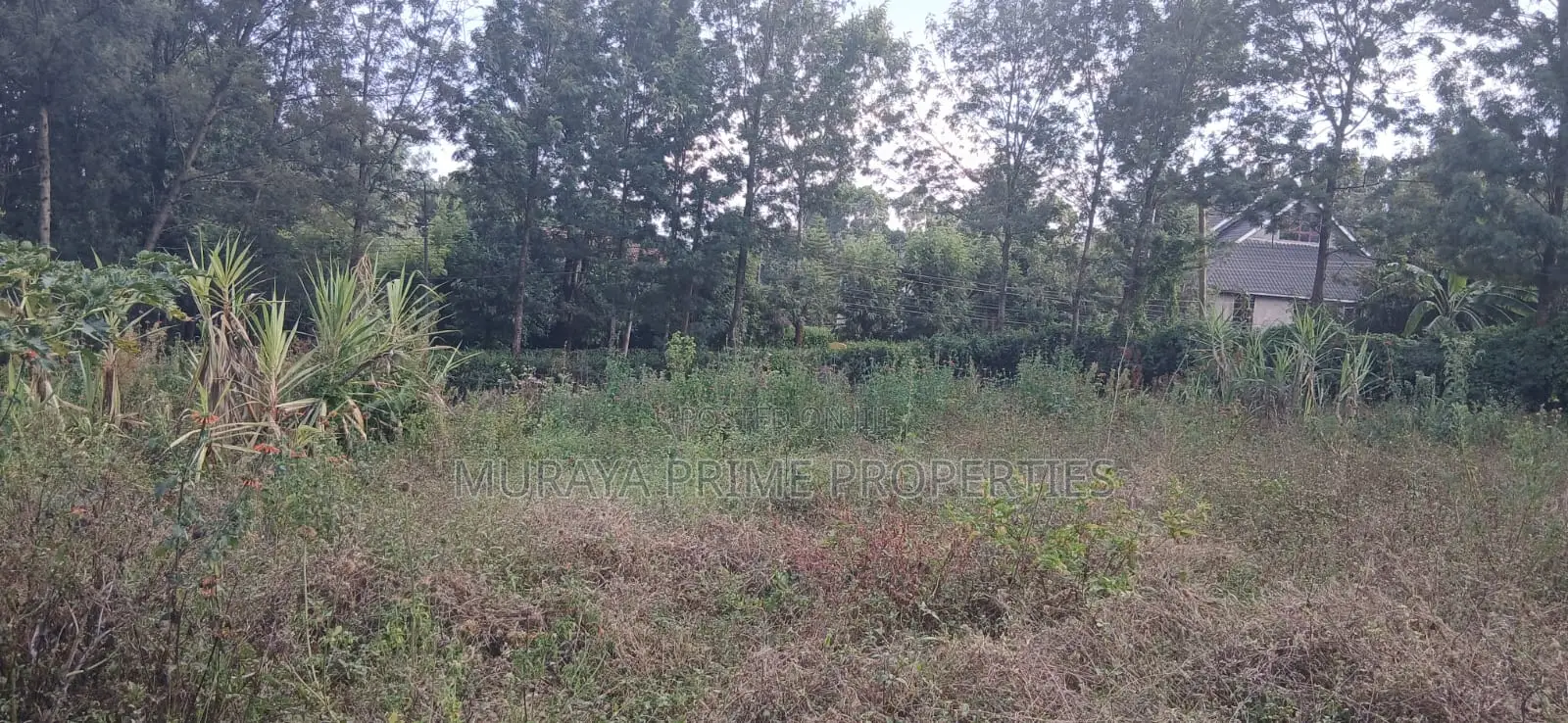 1/8 Acre Prime Plot for Sale – Kerarapon Drive, Kerarapon