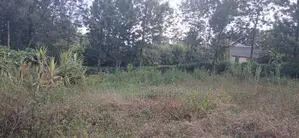 1/8 Acre Prime Plot for Sale – Kerarapon Drive, Kerarapon