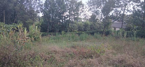 1/8 Acre Prime Plot for Sale – Kerarapon Drive, Kerarapon - thumbnail 3
