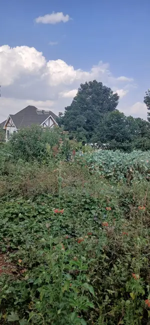 1/8 Acre Prime Plot for Sale – Kerarapon Drive, Kerarapon