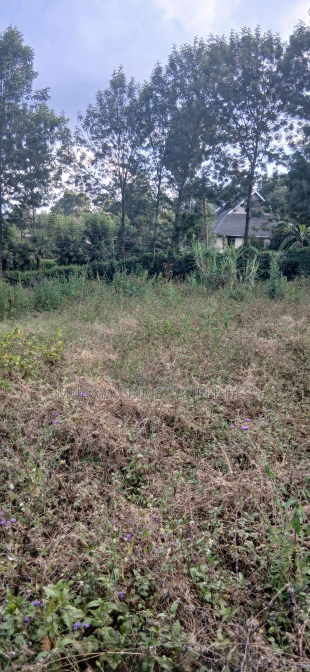1/8 Acre Prime Plot for Sale – Kerarapon Drive, Kerarapon - thumbnail 5
