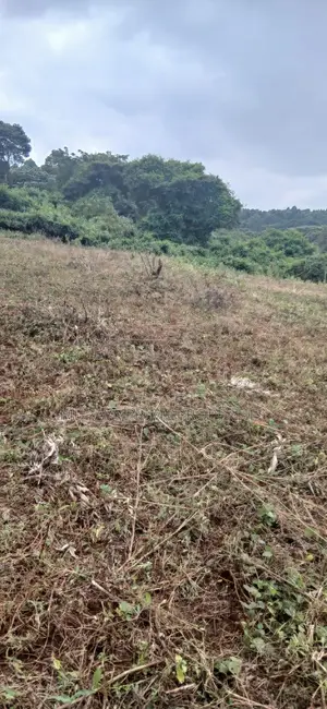 3/4 Acre Prime Plot for Sale – Kerarapon Drive
