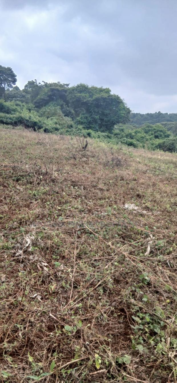 3/4 Acre Prime Plot for Sale – Kerarapon Drive - thumbnail 2