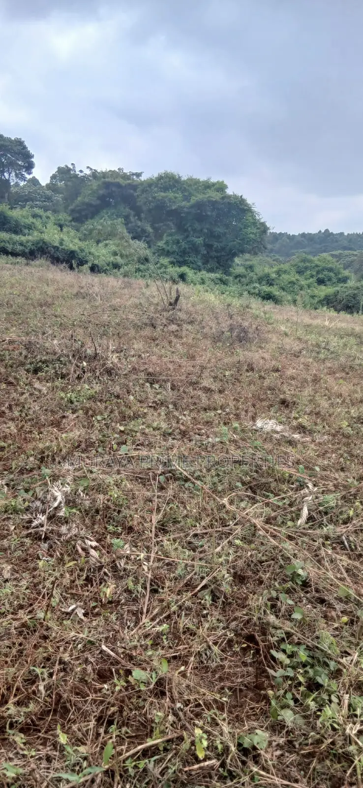 3/4 Acre Prime Plot for Sale – Kerarapon Drive