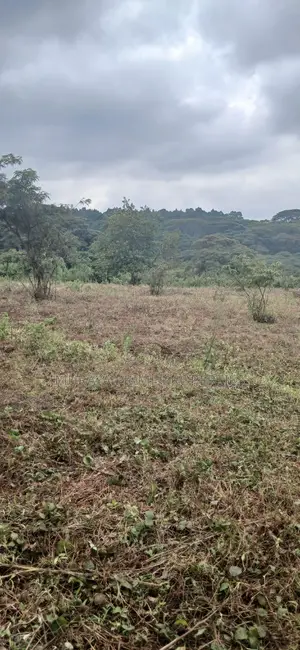 3/4 Acre Prime Plot for Sale – Kerarapon Drive