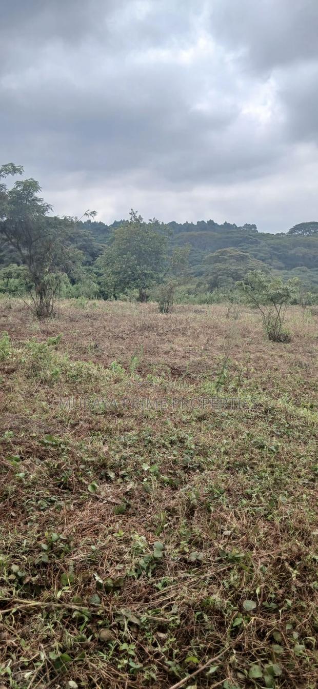 3/4 Acre Prime Plot for Sale – Kerarapon Drive - thumbnail 3