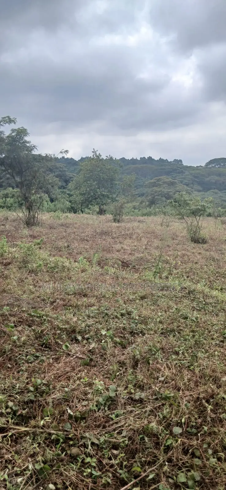 3/4 Acre Prime Plot for Sale – Kerarapon Drive