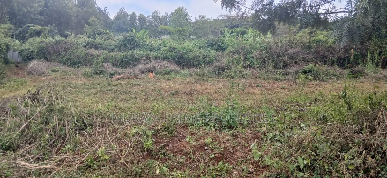 3/4 Acre Prime Plot for Sale – Kerarapon Drive