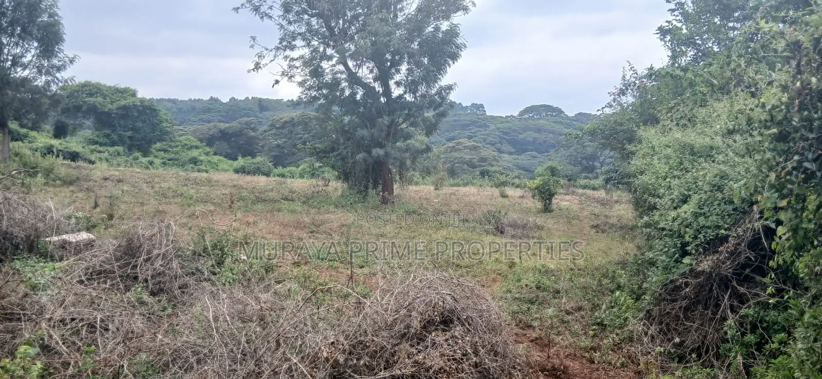 3/4 Acre Prime Plot for Sale – Kerarapon Drive