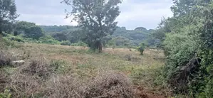 3/4 Acre Prime Plot for Sale – Kerarapon Drive