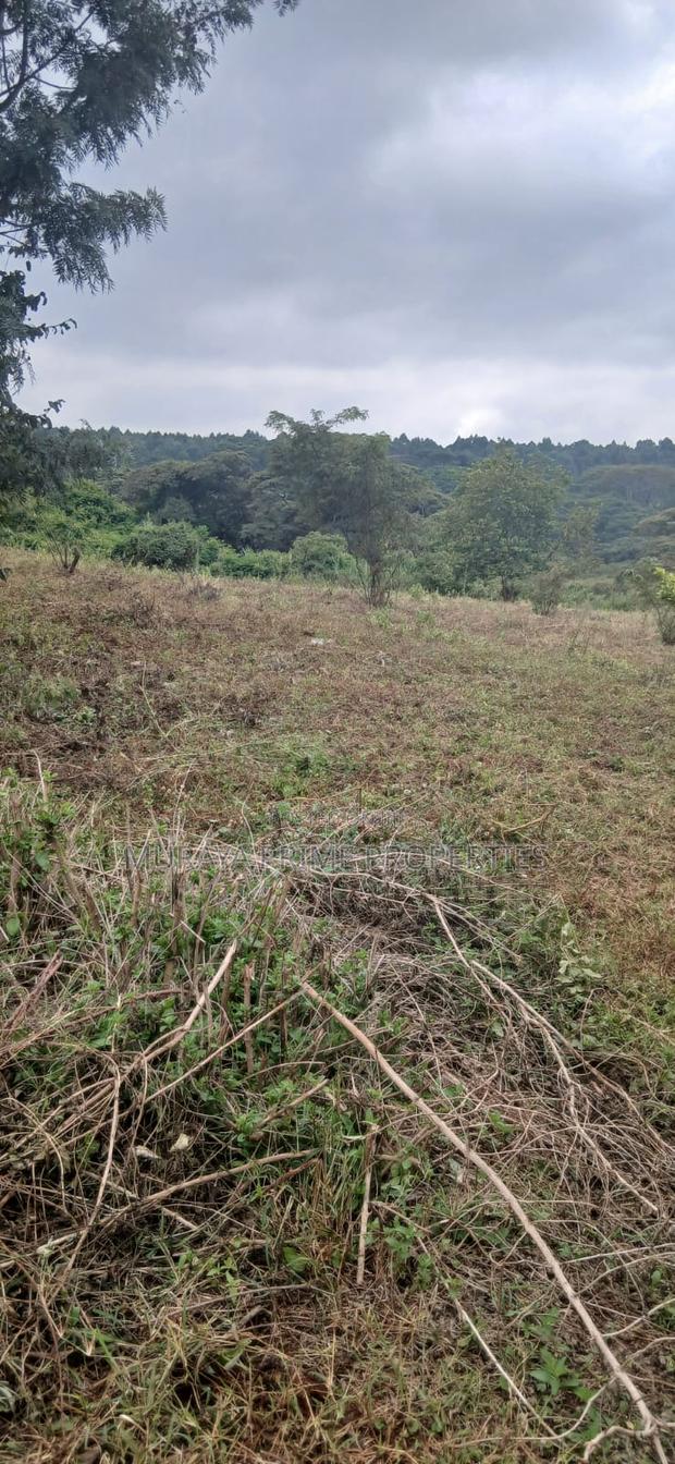 3/4 Acre Prime Plot for Sale – Kerarapon Drive - thumbnail 8