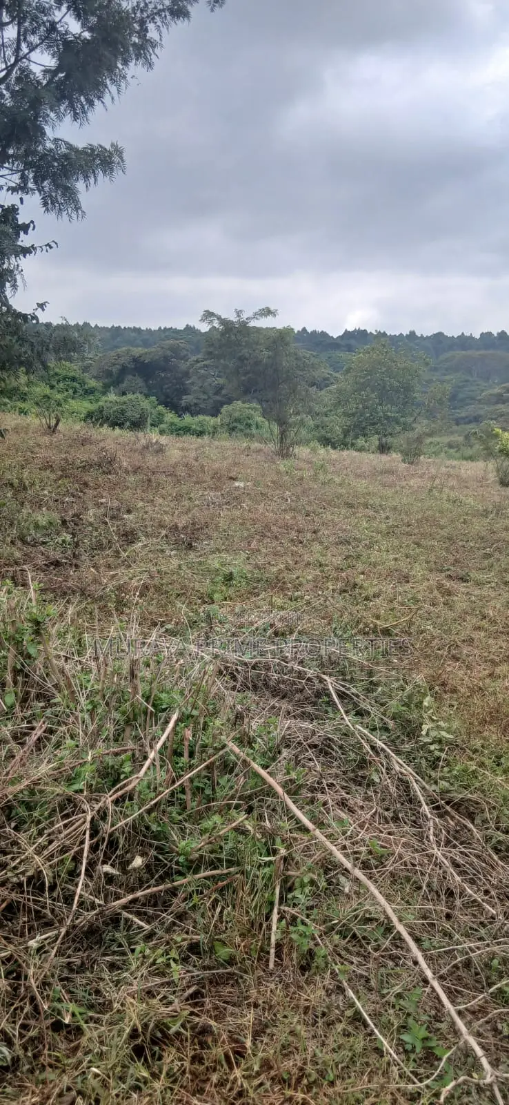 3/4 Acre Prime Plot for Sale – Kerarapon Drive