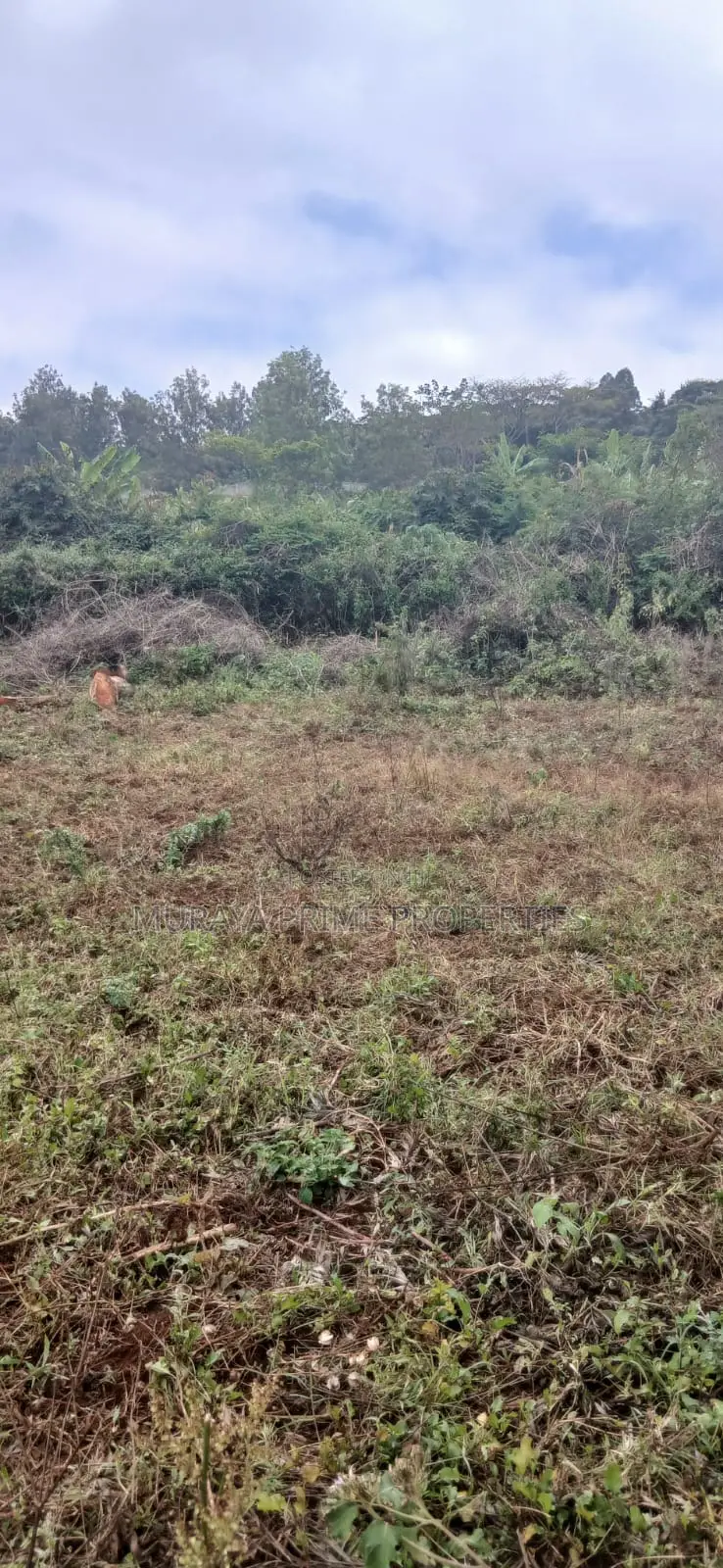 3/4 Acre Prime Plot for Sale – Kerarapon Drive