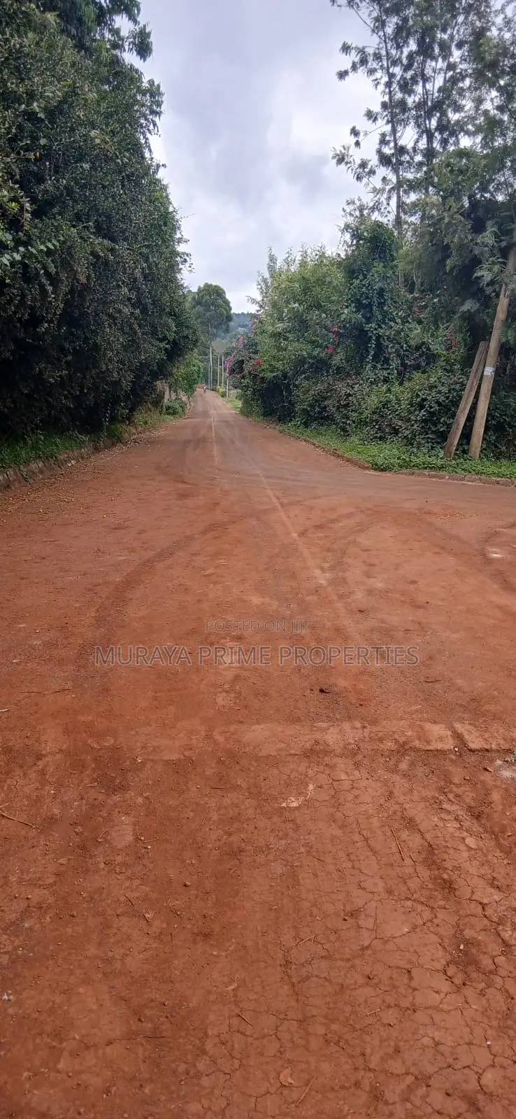 Prime 1/8 Acre Plot for Sale – Kerarapon Drive