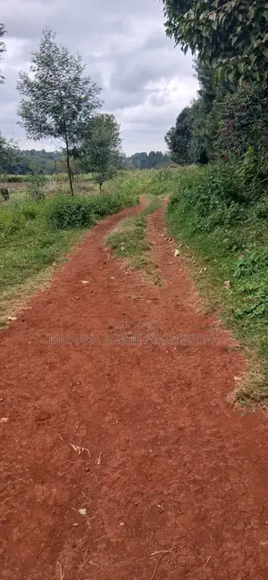 Prime 1/8 Acre Plot for Sale – Kerarapon Drive