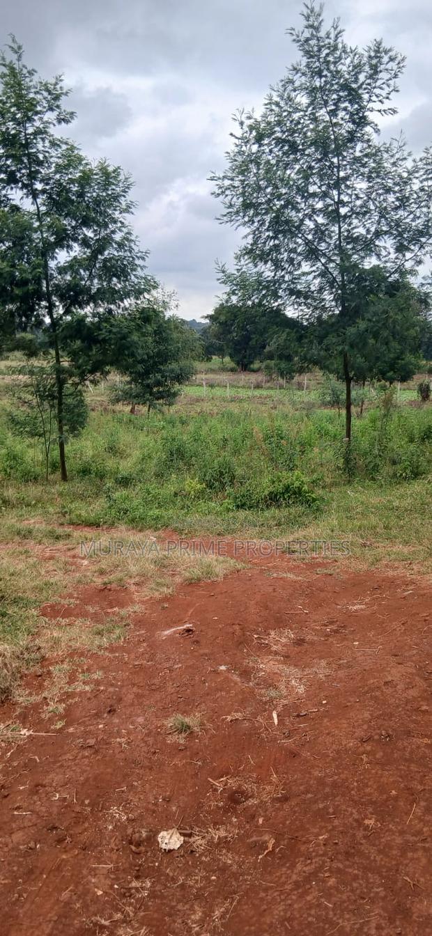 Prime 1/8 Acre Plot for Sale – Kerarapon Drive - thumbnail 5