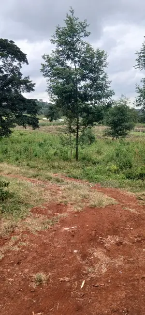 Prime 1/8 Acre Plot for Sale – Kerarapon Drive