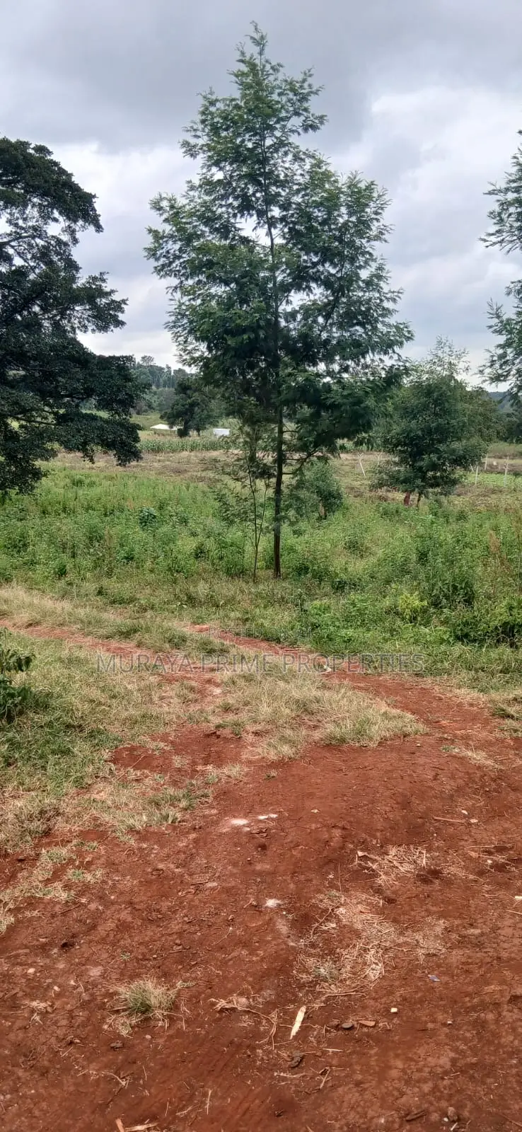 Prime 1/8 Acre Plot for Sale – Kerarapon Drive