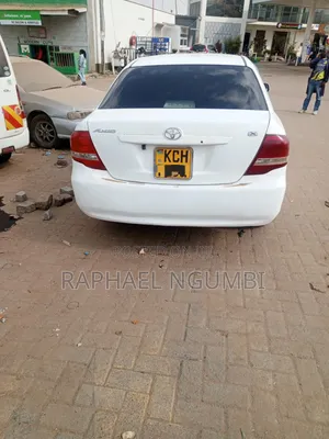 Toyota Axio 2009 White
