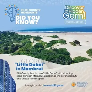 Beach Plots for Sale