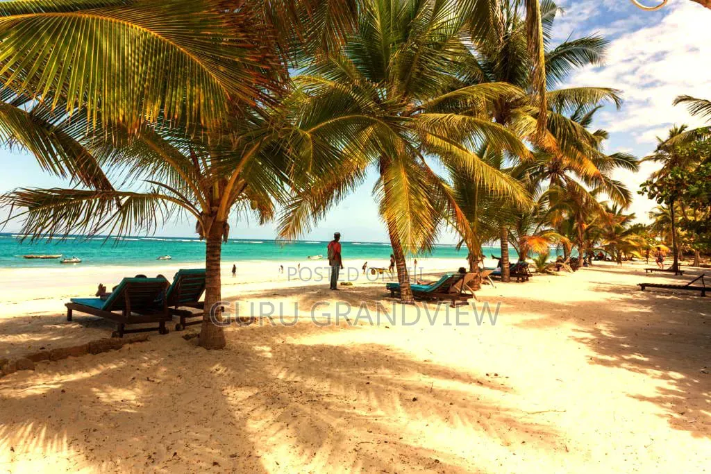 Diani Beachfront 2 Bedroom Pool Beach